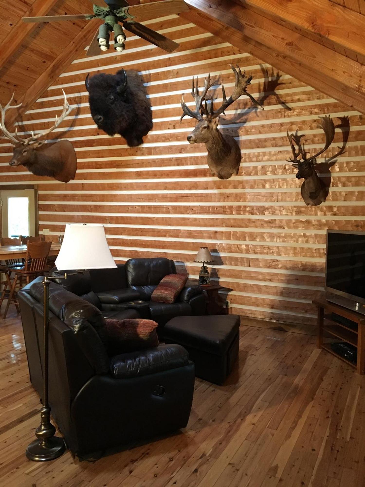Log Home Guest House Ocklawaha Экстерьер фото